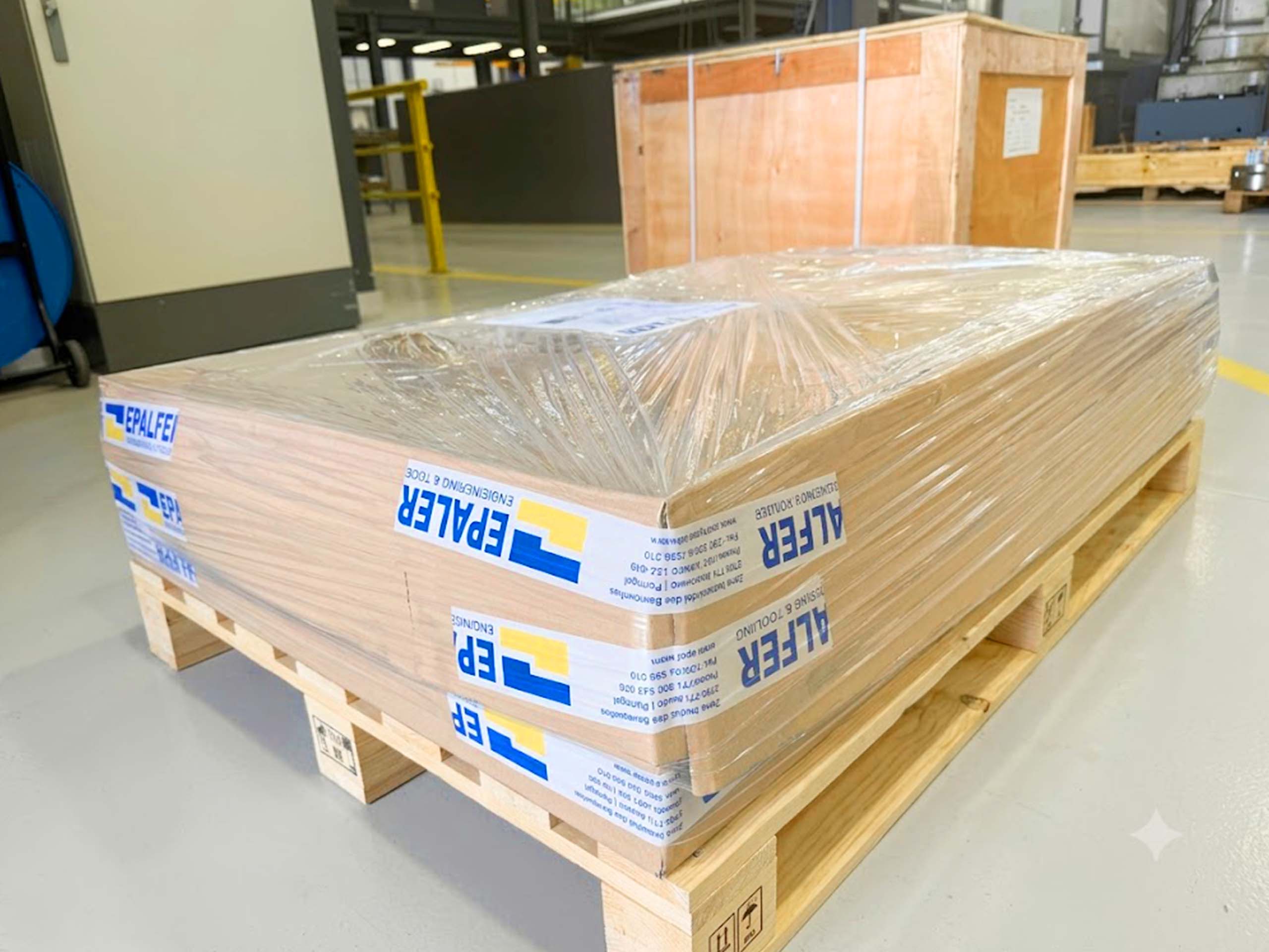 Safety Packaging — EPALFER